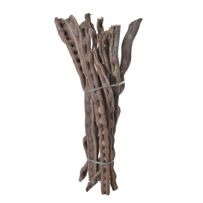 Cipo correia 1m - susz