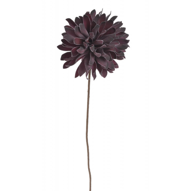 Piankowiec x1..65cm - art. dekoracyjny