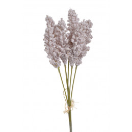 Amaranthus 6szt/pęczek..32cm