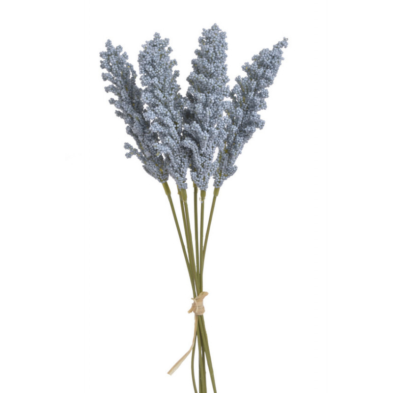 Amaranthus 6szt/pęczek..32cm