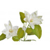 Clematis 63cm - sztuczna roślina