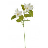 Clematis..44cm - sztuczna roślina