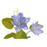 Clematis 63cm - sztuczna roślina