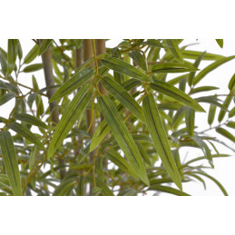 Drzewo bambus w doniczce..153cm