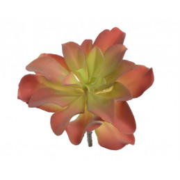 Sukulent 18x19 cm RED GREEN - sztuczna roślina