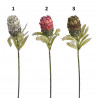 Protea x1 75CM - sztuczna roślina