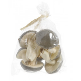 Grzybki dwa 10cm 4szt/pacz. -sztucz. rosl. GREY