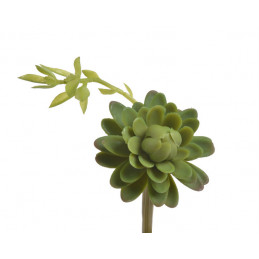 Sukulent 9x13cm - sztuczna roślina