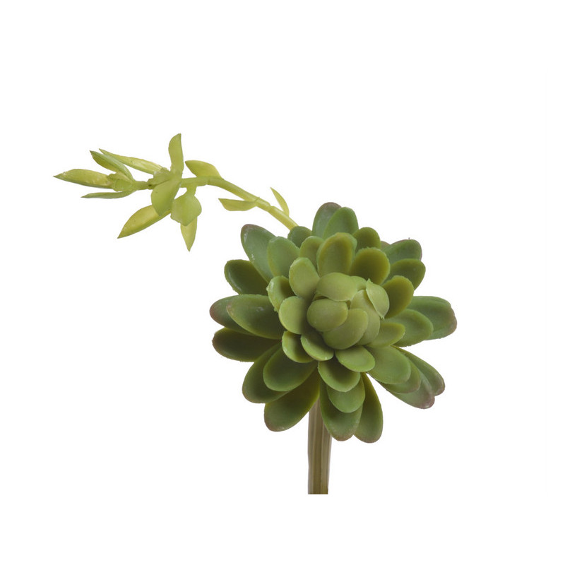 Sukulent 9x13cm - sztuczna roślina