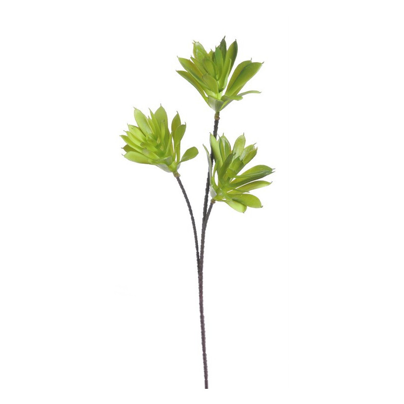 Sukulent..46cm - sztuczna roślina