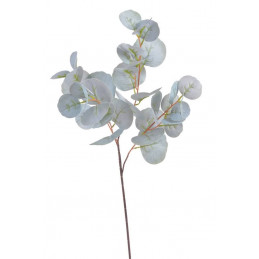 Eucaliptus populus..80cm - sztuczna roślina