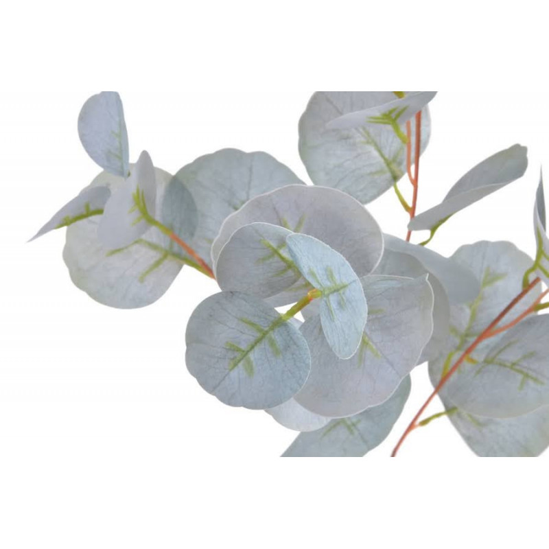 Eucaliptus populus..80cm - sztuczna roślina