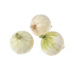 Cebula F7cm...5sztuk/paczka - art. dekoracyjny