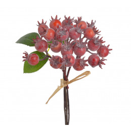 Głóg 20cm 4sztpęcz...20cm - art. dekoracyjny