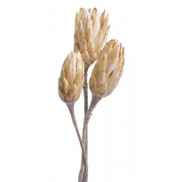 Repens stone washed 35-40 cm 3szt/pacz - susz