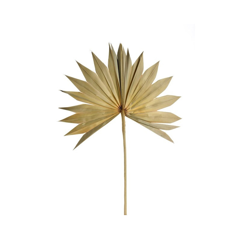 Palm sun spear L nat - susz