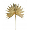 Palm sun spear L nat - susz