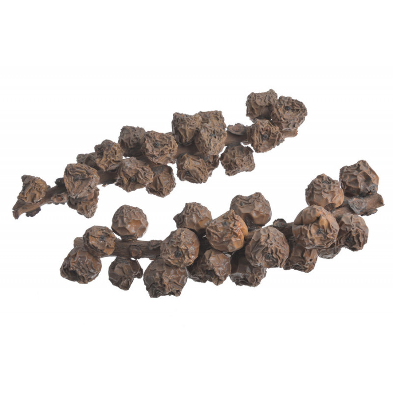 Beluluk..30cmL - susz dekoracyjny