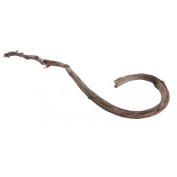 Banana Stick natural 75 cm - laska mikołaja