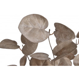 Eukaliptus populus gałązka 80cm - sztuczna roślina BROWN