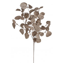 Eukaliptus populus gałązka 80cm - sztuczna roślina BROWN