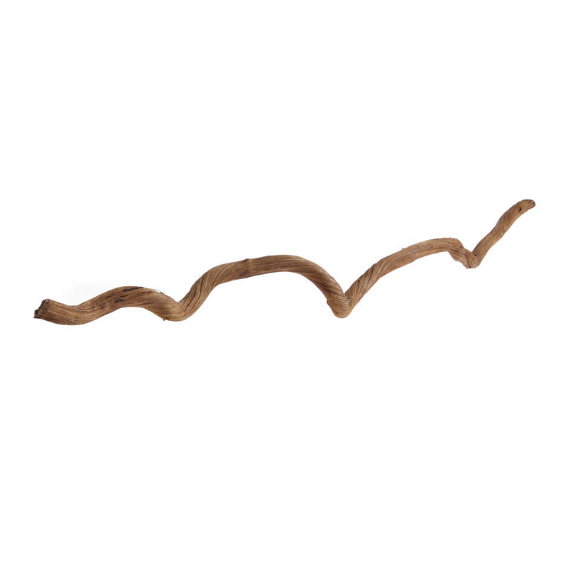 DULA LOG 100-110 cm 1m (fi2-4cm)- susz dekoracyjny