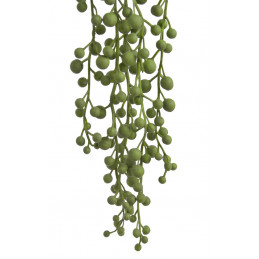 Starzec Rowleya 65cm -sztuczna roślina