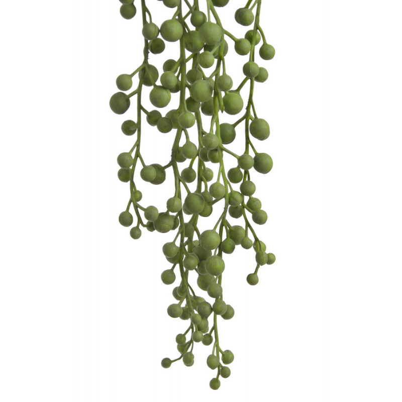 Starzec Rowleya 65cm -sztuczna roślina