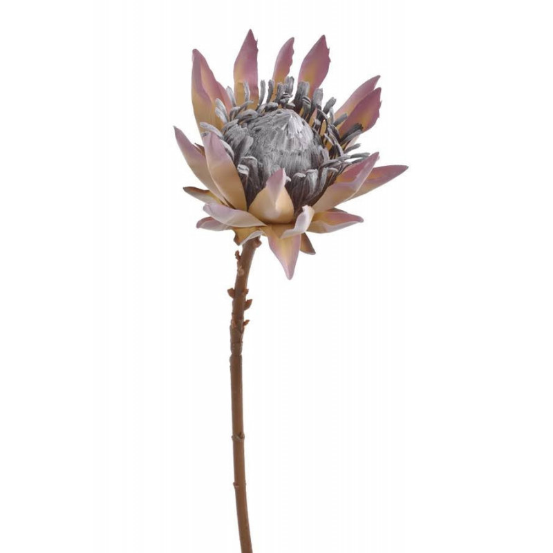 Protea x1 53cm ..53cm - sztuczna roślina