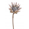 Protea x1 53cm ..53cm - sztuczna roślina
