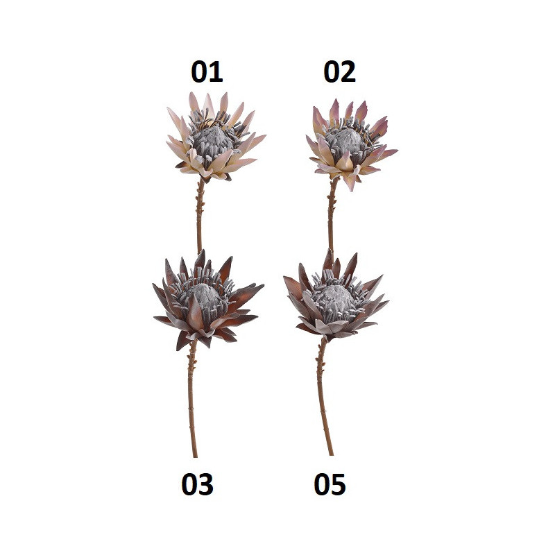 Protea x1 53cm ..53cm - sztuczna roślina
