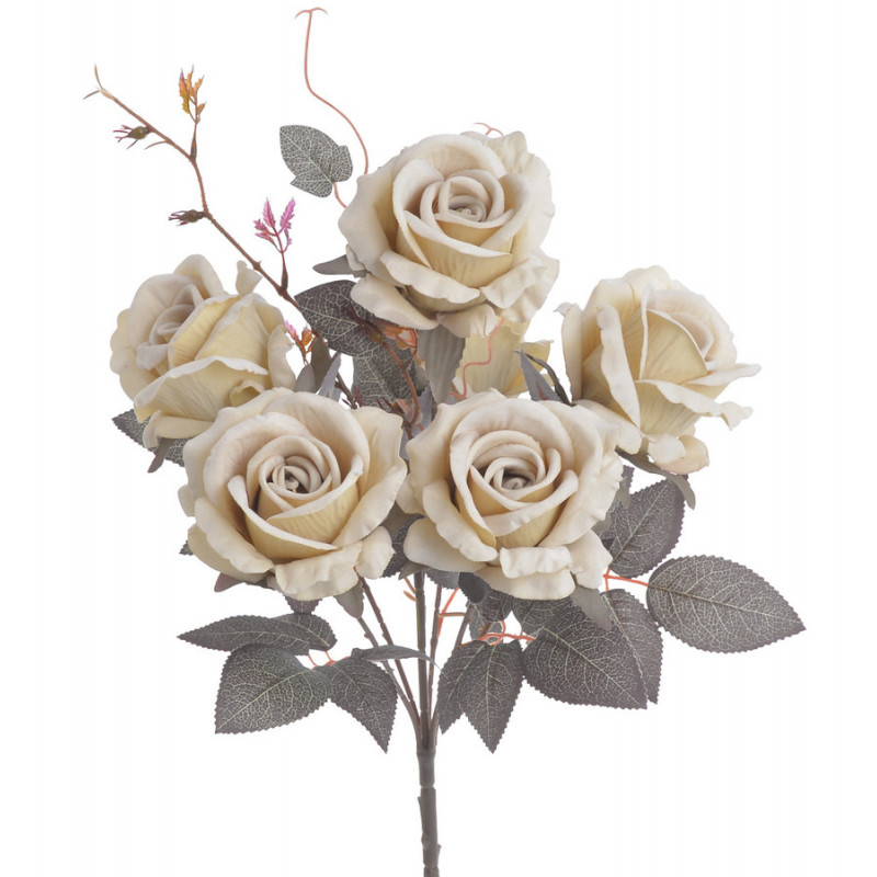 Róża welwetowa x6 bukiet..46cm