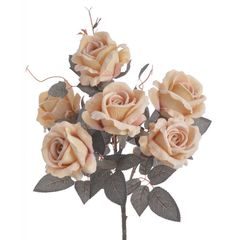 Róża welwetowa x6 bukiet..46cm