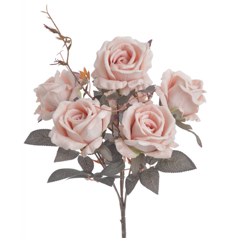 Róża welwetowa x6 bukiet..46cm