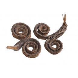 Palm ring special laq..11-16cm ( BARANIE ROGI ) - susz