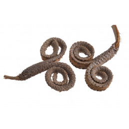 Palm ring special 11-16cm ( BARANIE ROGI ) - susz