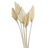 Palm spear duży wybielany  5 sztuk/paczka 40-50 cm - susz