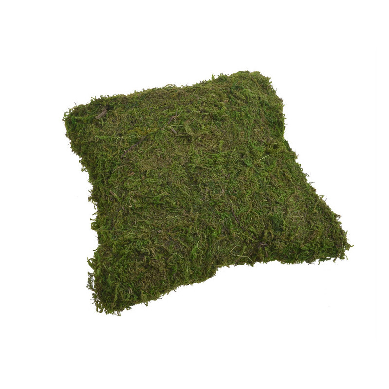 Jasiek z mchu 23x23 cm