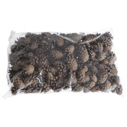 Pinus Silvestris (szyszka sosny pospolitej) - paczka/500g ...3-4,5cm