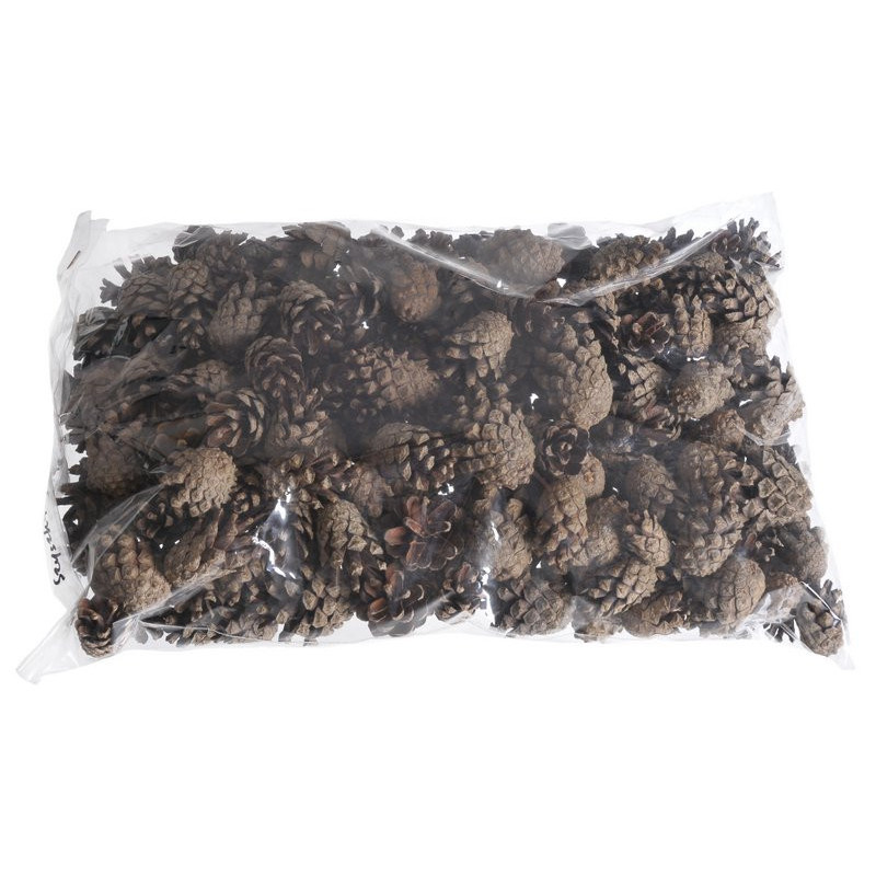 Pinus Silvestris (szyszka sosny pospolitej) - paczka/500g ...3-4,5cm