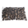 Pinus Silvestris (szyszka sosny pospolitej) - paczka/500g ...3-4,5cm