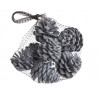 Szyszki pine fruit llocking 8szt/paczk..7cm