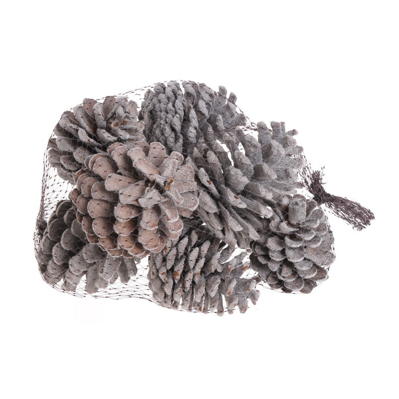 Szyszki pine fruit llocking 8szt/paczk..7cm