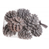 Szyszki pine fruit llocking 8szt/paczk..7cm