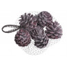 Szyszki pine fruit llocking 8szt/paczk..7cm