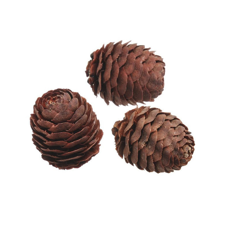 GLABRUM NATURAL MEDIUM (+-160-KG)..4-6cm...200g/paczka