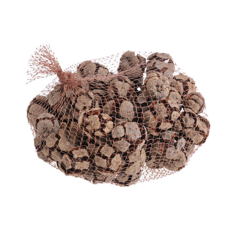 Cyprys-cypressus 500g..3,5-5cm