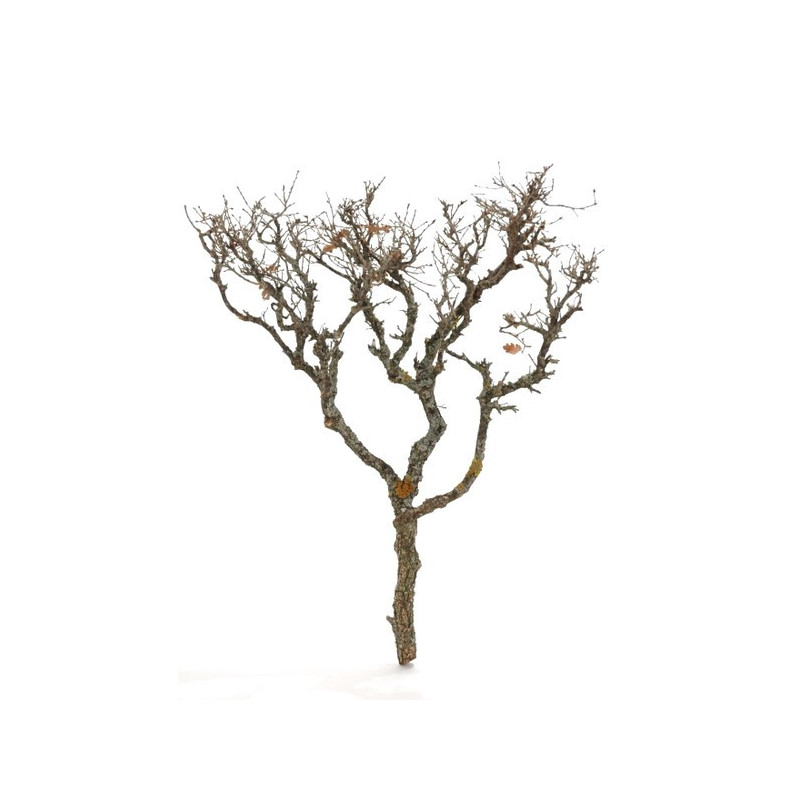 Hard bonzai LARGE 50/60cm (+- 9szt) - karton zbiorczy