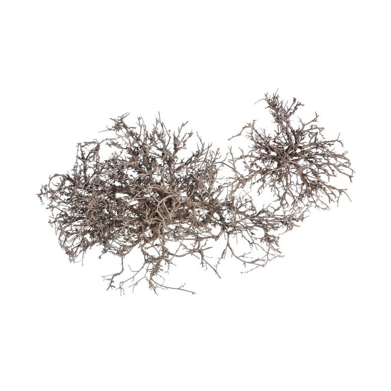Dry tree/Tiny skeleton natur.-pacz 250g...12 - 30 cm - susz dekoracyjny