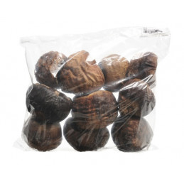 Talami 10sztuk/paczka...8-10cm - susz